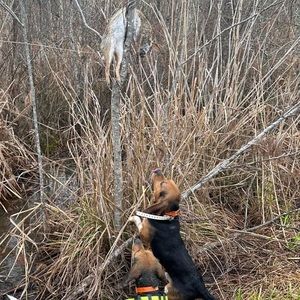 Meet your Posher, Stanley